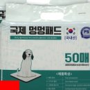 자미애견 이미지