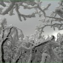 안성리-3 이미지