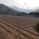 최신농장 이미지