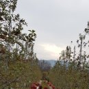 예담농장 이미지