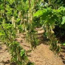 견달산로 이미지