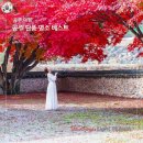 충현공원 | 충남 공주 가볼만한곳 갑사 마곡사 단풍명소 BEST