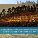 양지암 조각공원 이미지