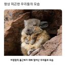 지에스25 여수국동전대점 | 뜨거운 여름밤은 다 가고