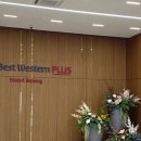 [세종] 깔끔하고 위치 좋은 '베스트웨스턴 플러스 호텔' 후기