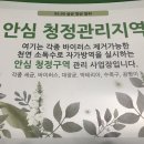 복싱 바이러스 체육관 이미지