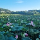 안면도힐링펜션 이미지