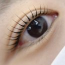 바417 | [✨ 군산속눈썹펌 추천｜케라틴블랙틴팅으로 또렷해진 눈매, 시선바이은 후기]