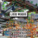 나트랑베트남노래방