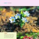 2021-주168 이미지