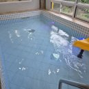 태안키즈풀빌라아띠 이미지