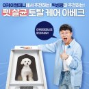 이케이컴퍼니