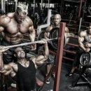 현대보디빌딩 이미지