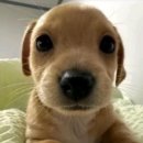 세븐일레븐천안성정하늘점 | 천안 사주 꼼꼼히 봐주는 곳 별하늘명리학당 내돈내산 후기