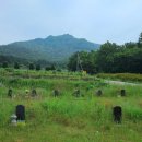 장흥공설공원묘지 | [장흥] 장흥을 다녀오며 1),, 억불산, 장흥시외버스터미널, 정남진장흥토요시장, 탐진강