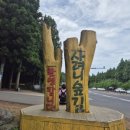 남조로사려니숲길 앞 이미지