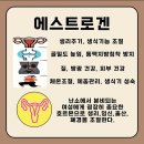 기본 필라테스&피티#