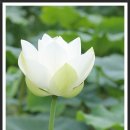 청운사