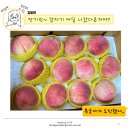 복자네복숭아