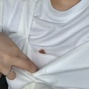 푸른노을 | 연인감정 스냅 강욱작가님 노을공원 숏스냅 후기