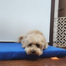 청정온돌집 이미지