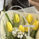 병점 꽃집 꽃블리 병점역진안동점 노란튤립 꽃다발 내돈내산후기