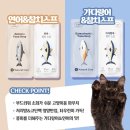 트윈펫 이미지