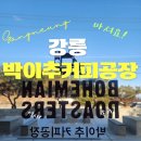 이쁜것들 | [강릉]이쁜 커피잔에 나오는 드립커피｜강릉 박이추 커피공장 후기