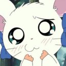 나이스카 서비스 | 바닷물을 퍼내기보단 내 안의 바다에 충실하자고 생각했어