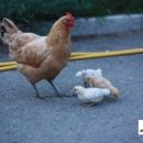 종로학원하늘교육옥정보습학원 | 메일링서비스의 수신을 원하지 않으시면 [수신거부]를 눌러 주시기 ..