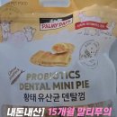 소화천사의 집 | [내돈내산] 우리 집 천사, 말티푸의 최애 간식! ‘황태 유산균 덴탈껌’ 솔직 후기 🐾
