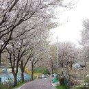 부락산 둘레길 이미지