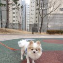 금오동물병원 이미지