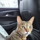 유니온동물병원 이미지