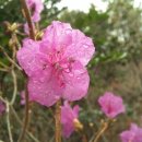 송촌1리 이미지