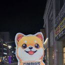 디어펫 이미지