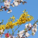 성도물산(주) 이미지