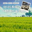 고창 여행 버스투어 아너드투어 당일치기 내돈내산 후기 (할인 방법)