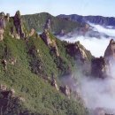 청산 - 광산구 | 청산