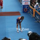 트라이진