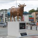 횡성 이미지