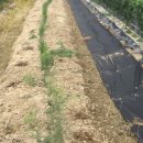 김재연농장 이미지