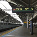 오송-비상-4호 | 260103 엑디즈 팬미팅 후기