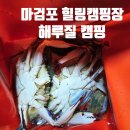 송림 힐링캠핑장 | &lt;마검포힐링캠핑장&gt;제대로 된 해루질 캠핑을 즐길 수 있는 조용한 캠핑장 2구역6번