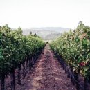 원종다방 이미지