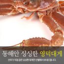 대게철 대게 효능 고르는 법 주의할 점 이미지