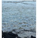 수망가라 | 제주도 다섯에서 넷으로 그리고 다시 혼자