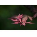 7080 낭만콘서트 이미지