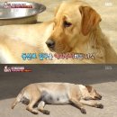 땡이농장 티브이데일리