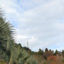 이순신공원 이미지